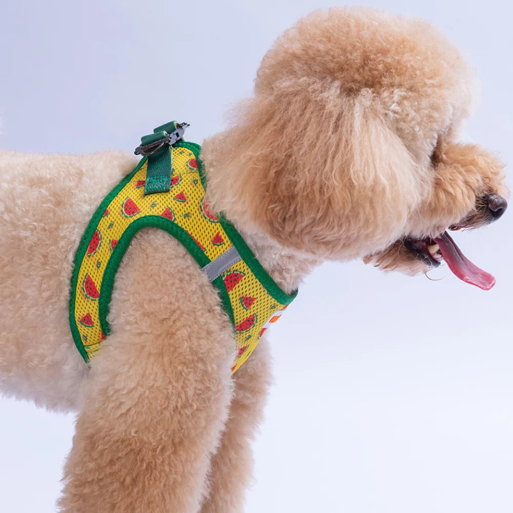 Airmesh Watermelon Harness