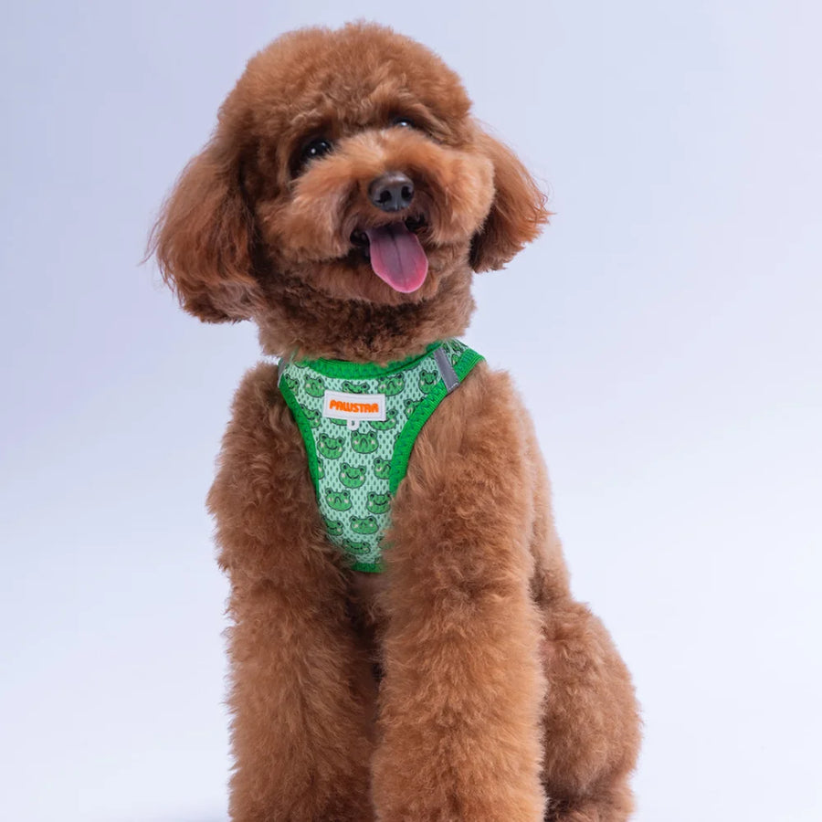 Airmesh Frog Harness