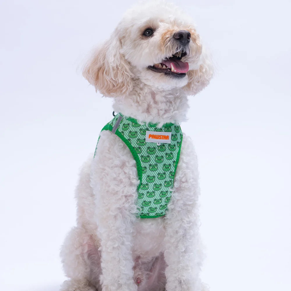 Airmesh Frog Harness