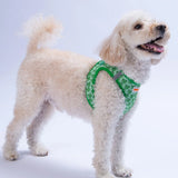 Airmesh Frog Harness