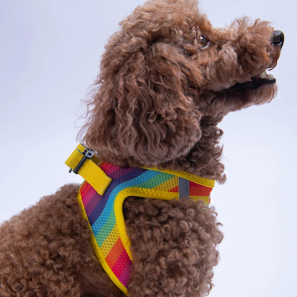 Airmesh Rainbow Harness