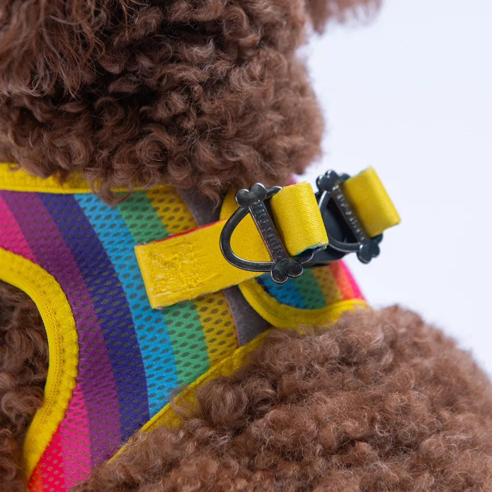 Airmesh Rainbow Harness
