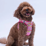 Airmesh Daisy Harness