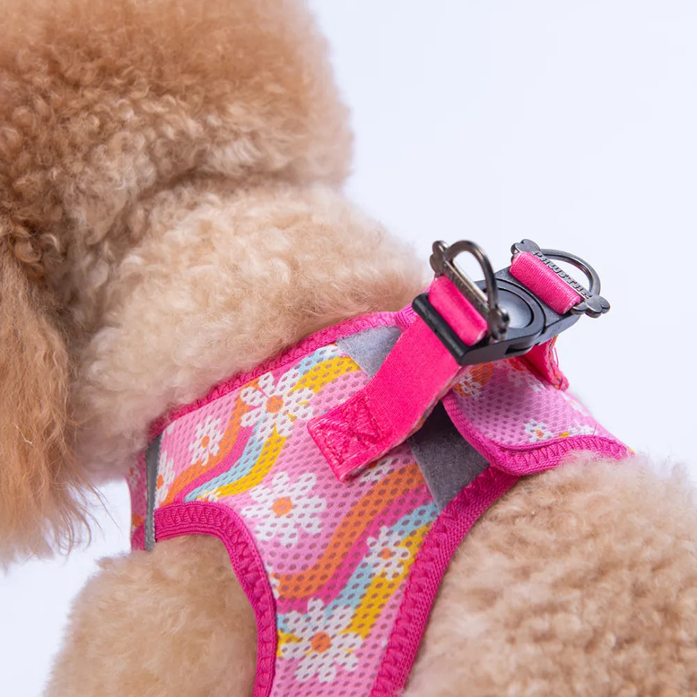 Airmesh Daisy Harness