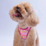 Airmesh Daisy Harness