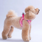Airmesh Daisy Harness