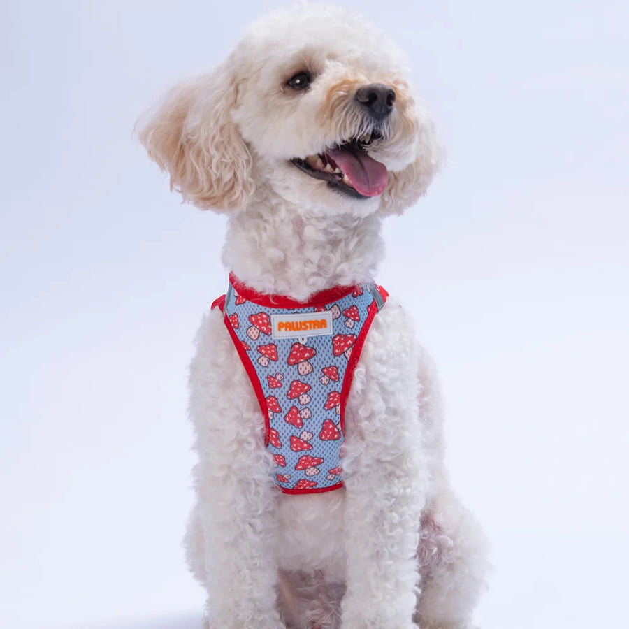Airmesh Mushroom Harness