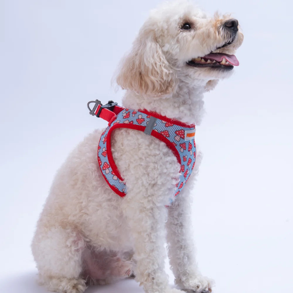 Airmesh Mushroom Harness