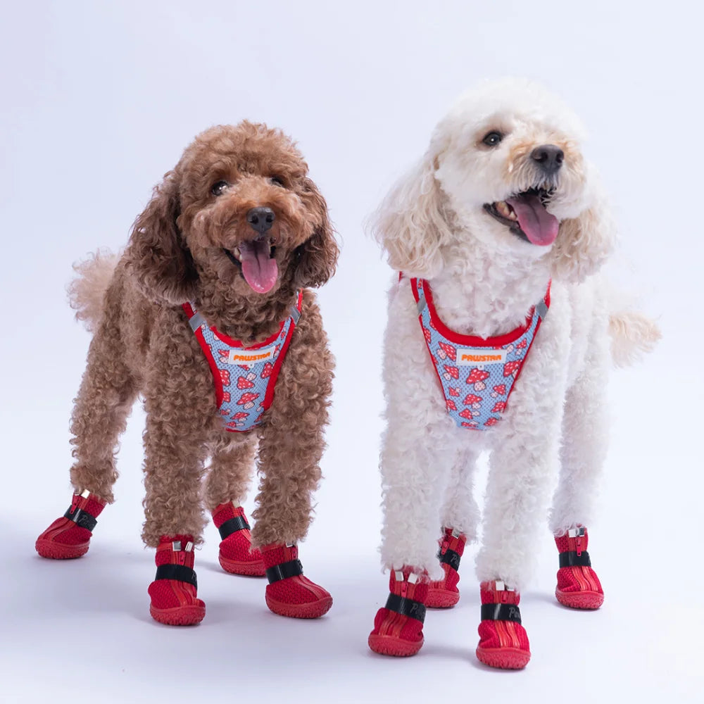 Airmesh Mushroom Harness