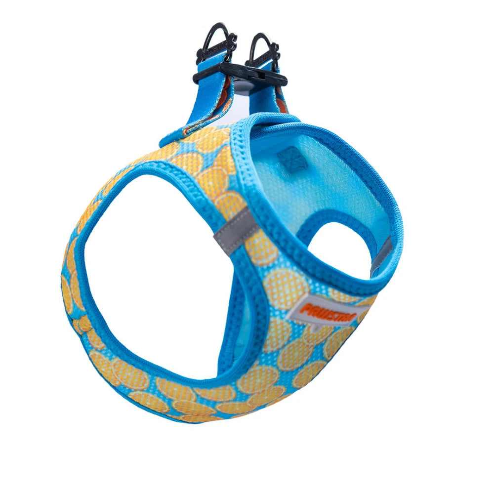 Airmesh Citrus Harness