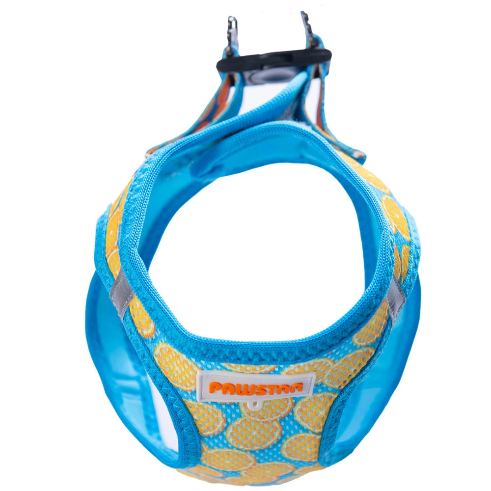 Airmesh Citrus Harness
