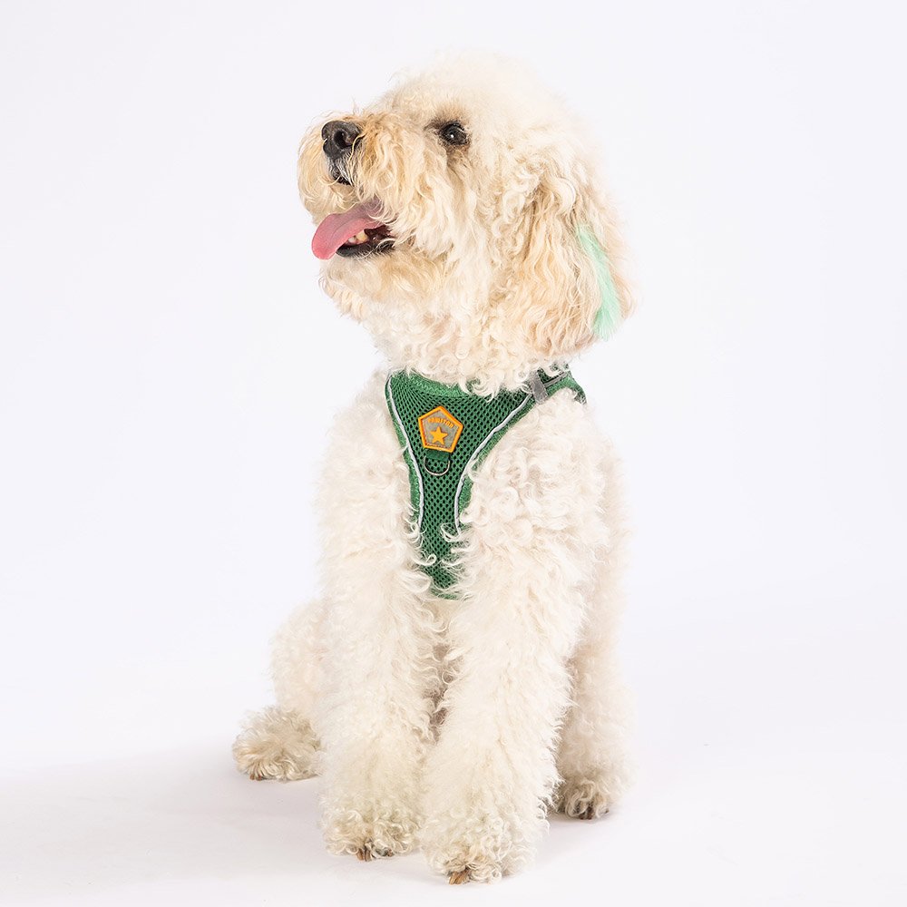 Pine Green - Pine Green Airmesh Dog Harness