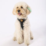 Black - Black Airmesh Dog Harness