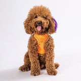 Neon Orange - Neon Orange Airmesh Dog Harness