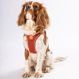 Terracotta - Kiremit Airmesh Dog Harness