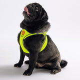Neon Yellow- Neon Yellow Airmesh Dog Harness