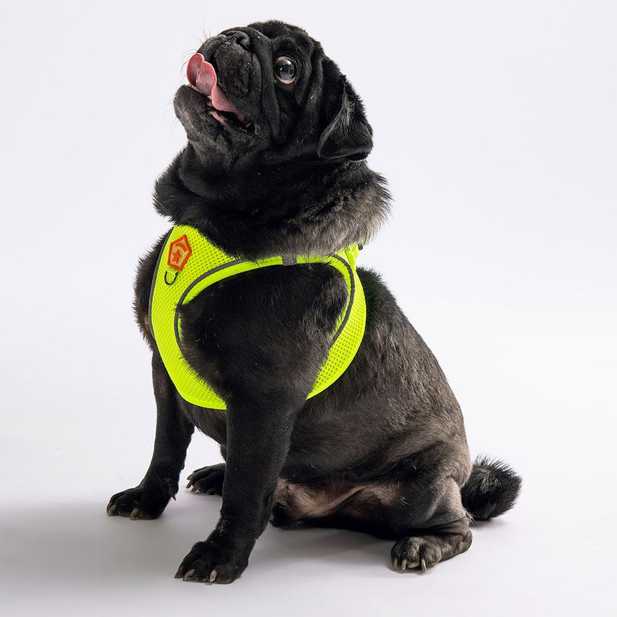 Neon Yellow- Neon Yellow Airmesh Dog Harness