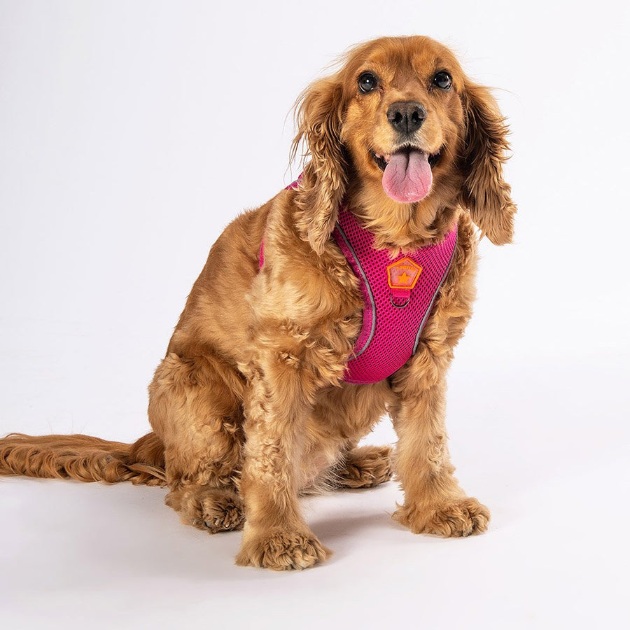 Fucshia - Fuchsia Airmesh Dog Harness