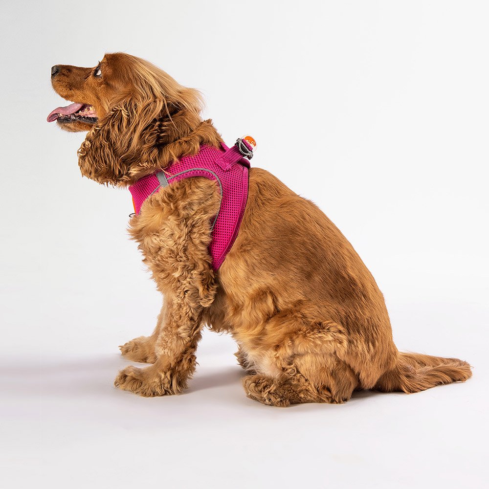 Fucshia - Fuchsia Airmesh Dog Harness