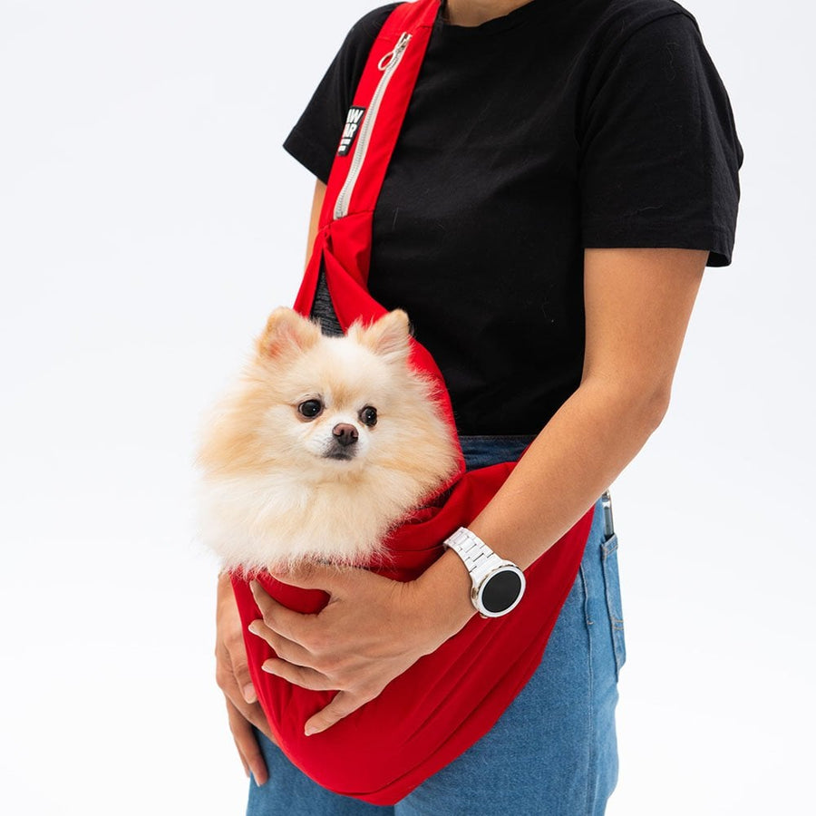 Red CrossBody Bag