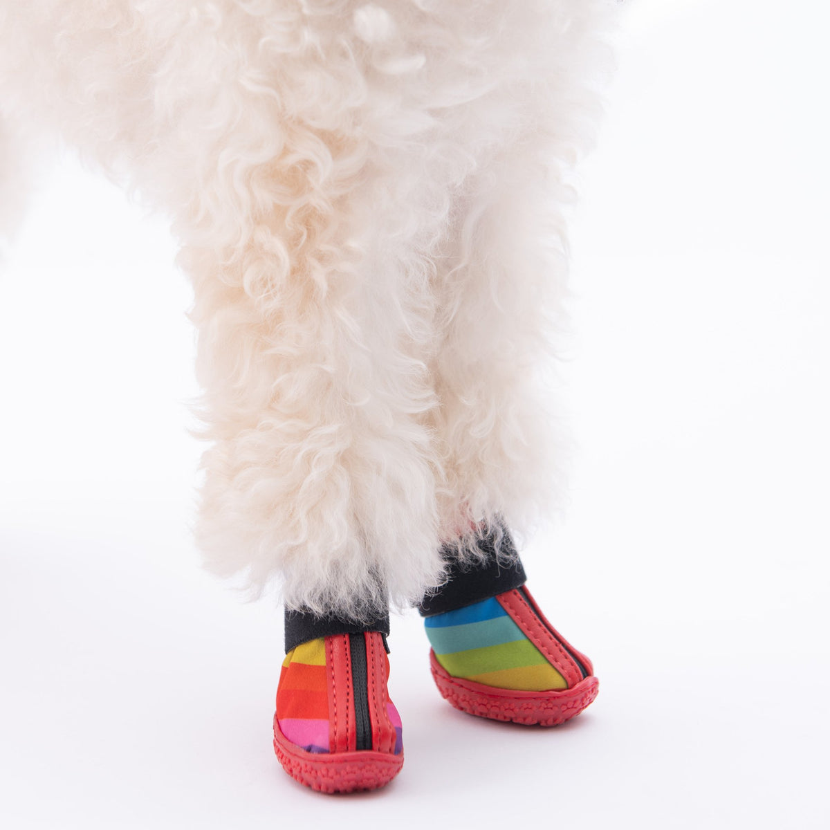 Peru Dog Shoes