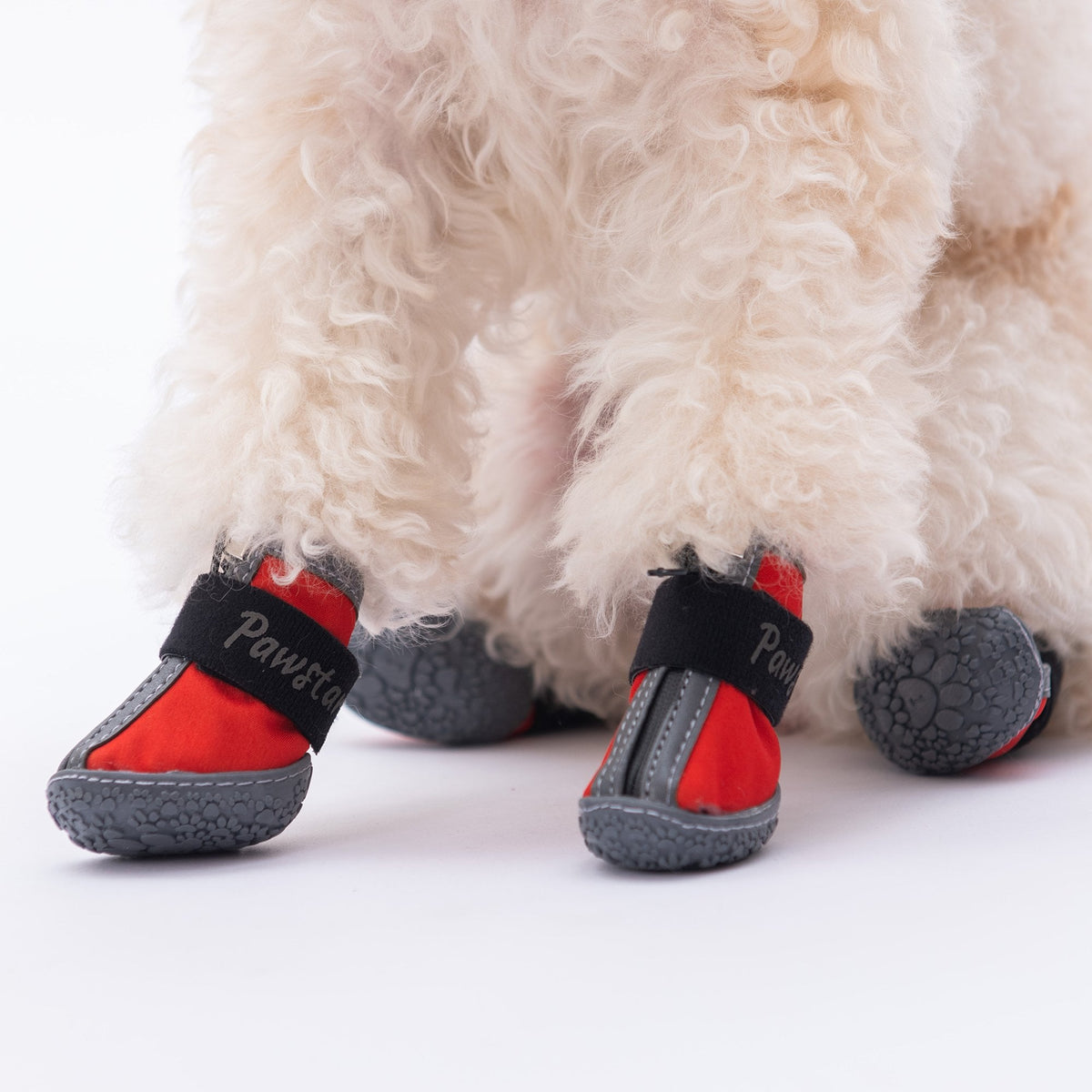 Red Dog Shoes