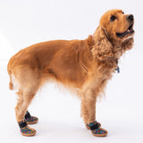 Ferrara Dog Shoes