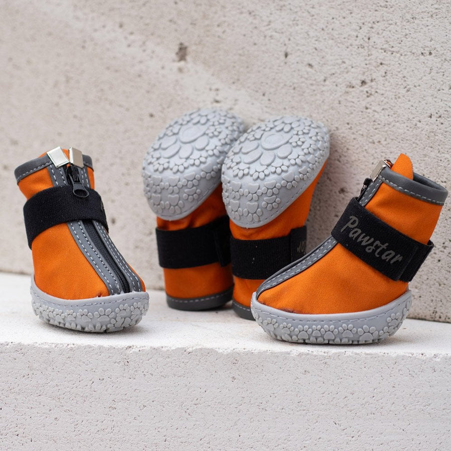 Orange Dog Shoes