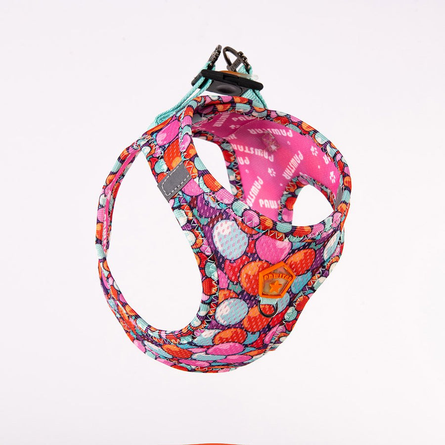 Airmesh Balloons Harness