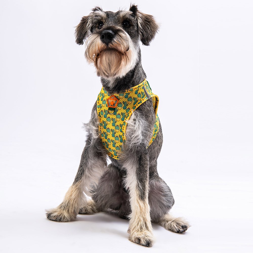 Airmesh Cactus Harness