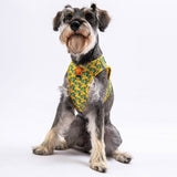 Airmesh Cactus Harness