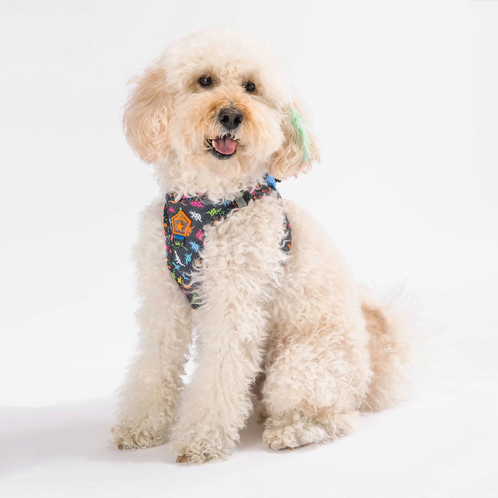 Airmesh Dino Harness