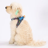 Airmesh Dino Harness
