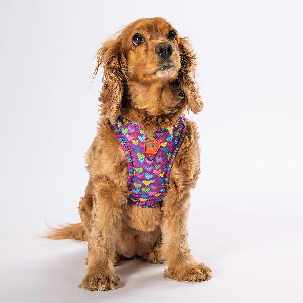 Airmesh Hearts Harness