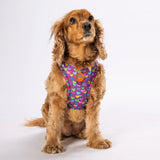 Airmesh Hearts Harness