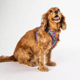 Airmesh Hearts Harness