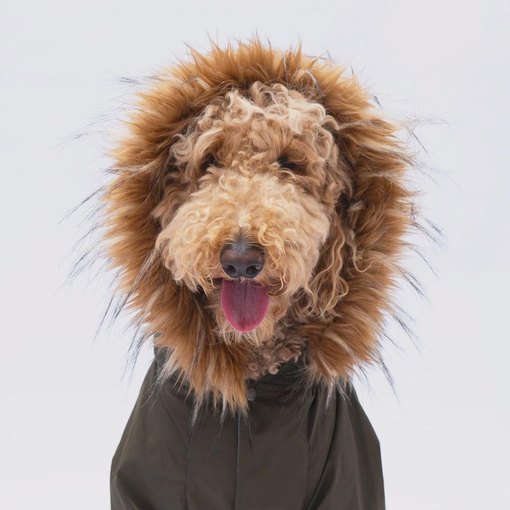 Haki Charles Raincoat