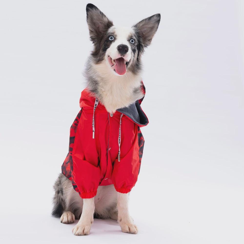 Red Dijon Raincoat