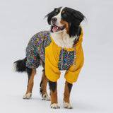 Lightweight Outdoor Raincoat