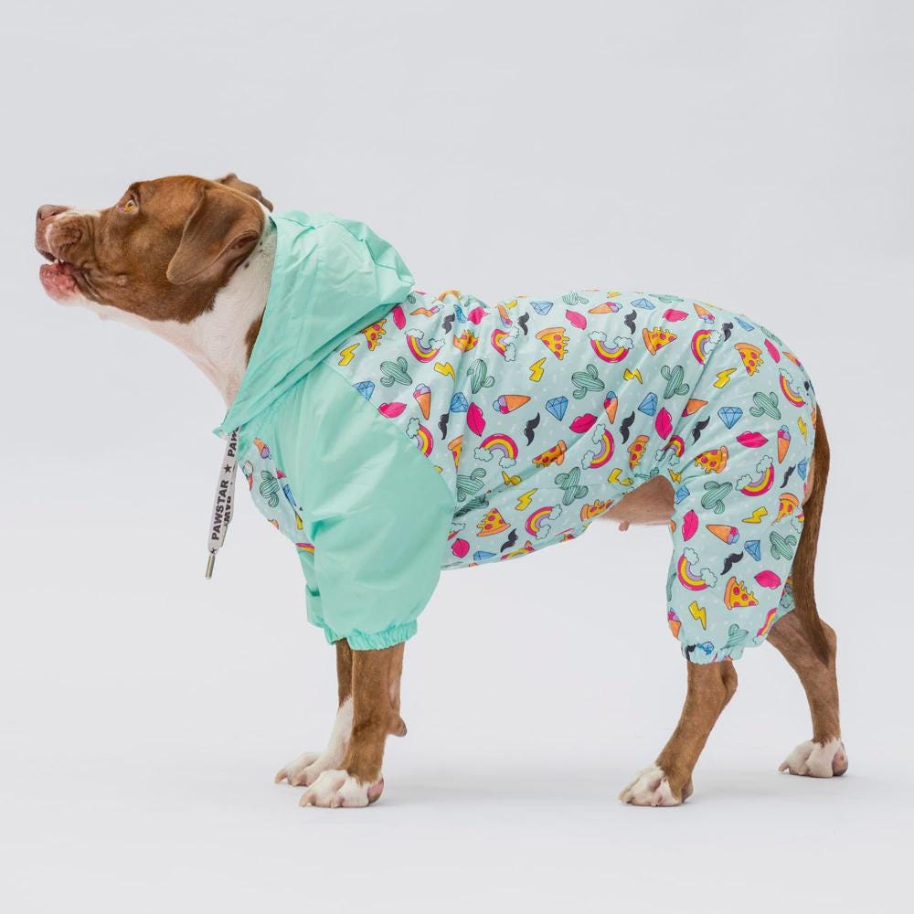 Tokyo Style Hooded Raincoat