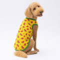 Watermelon Dog Shirt: Summer Fruit Print, Breathable Tee for Large Dogs