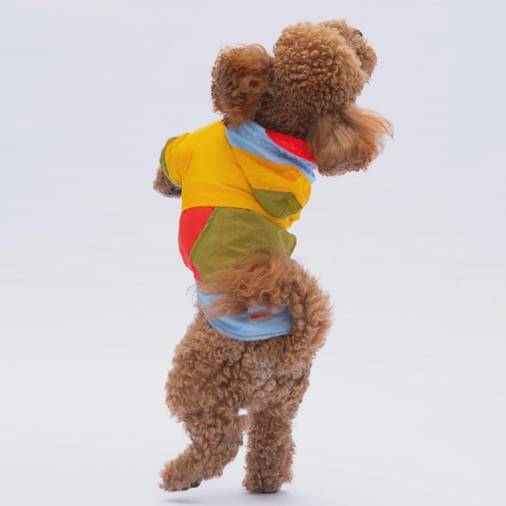 Colorful Raincoat