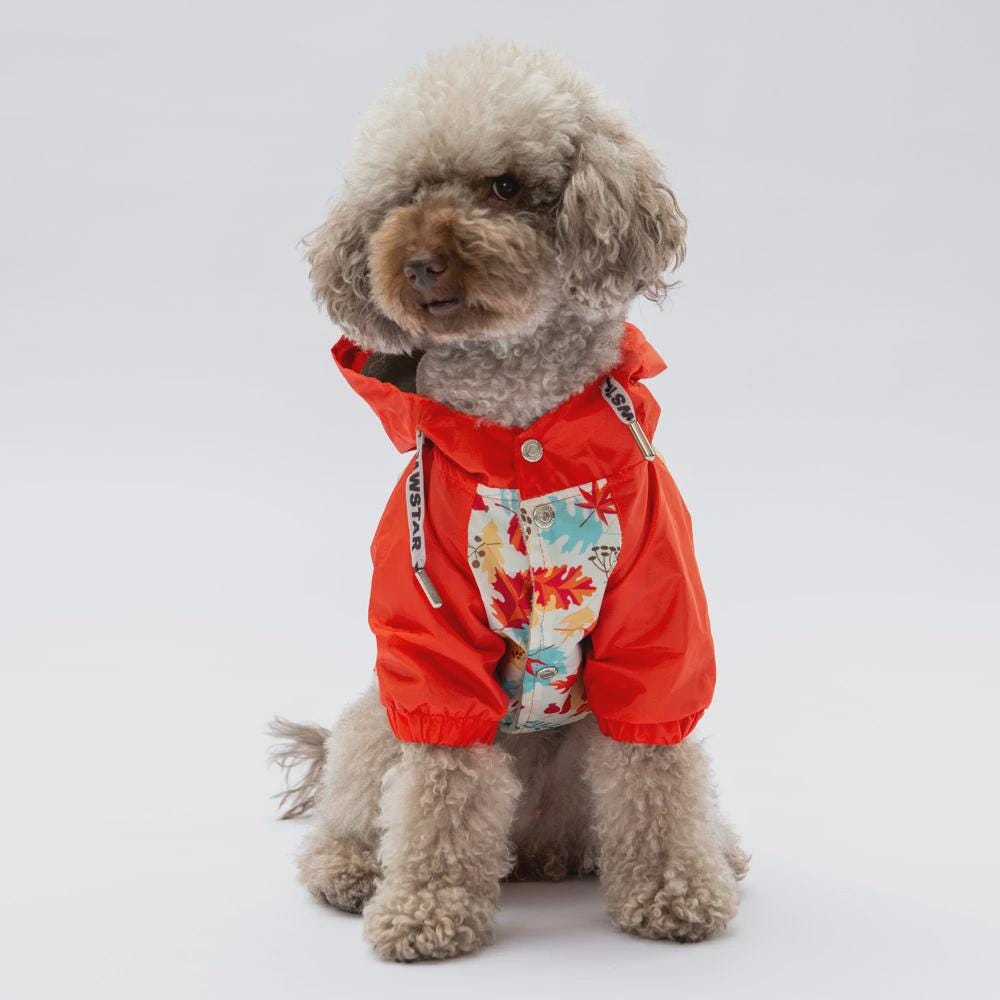 Ottawa Raincoat