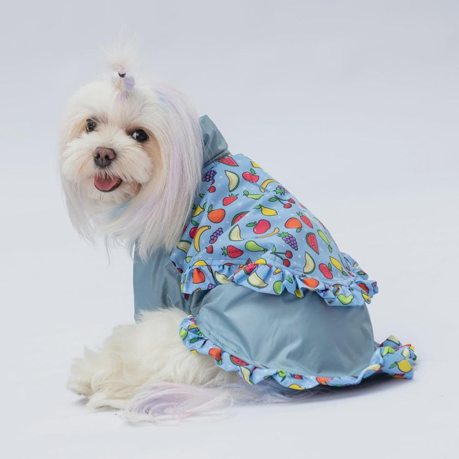 Gray Hooded Raincoat