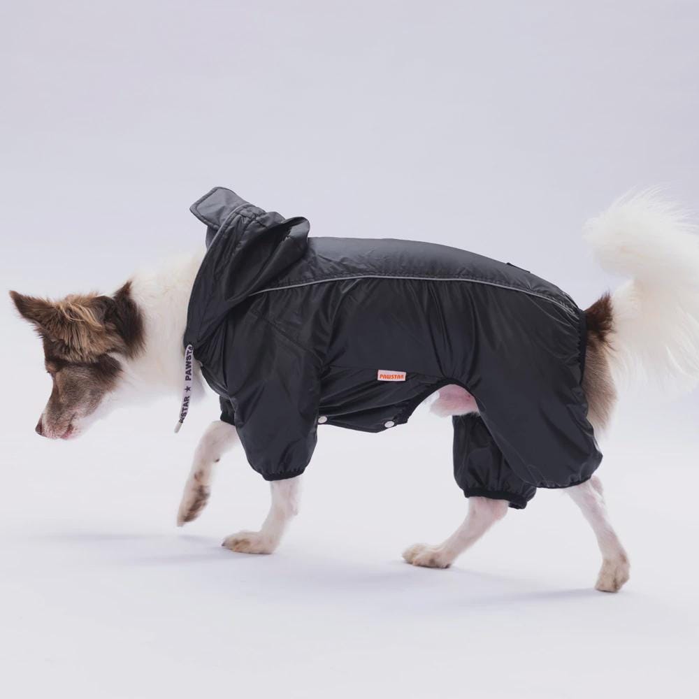 Black Hooded Raincoat