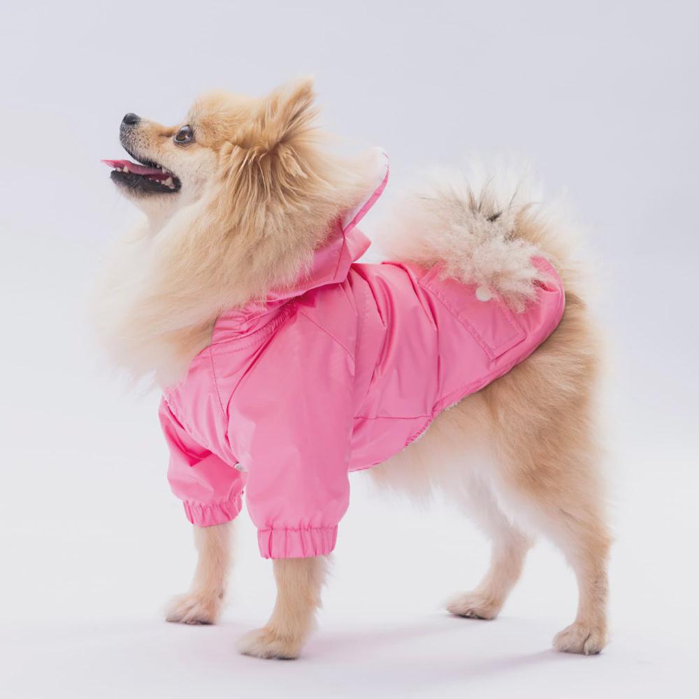 Pink Raincoat