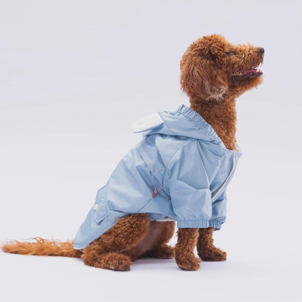Gray Raincoat