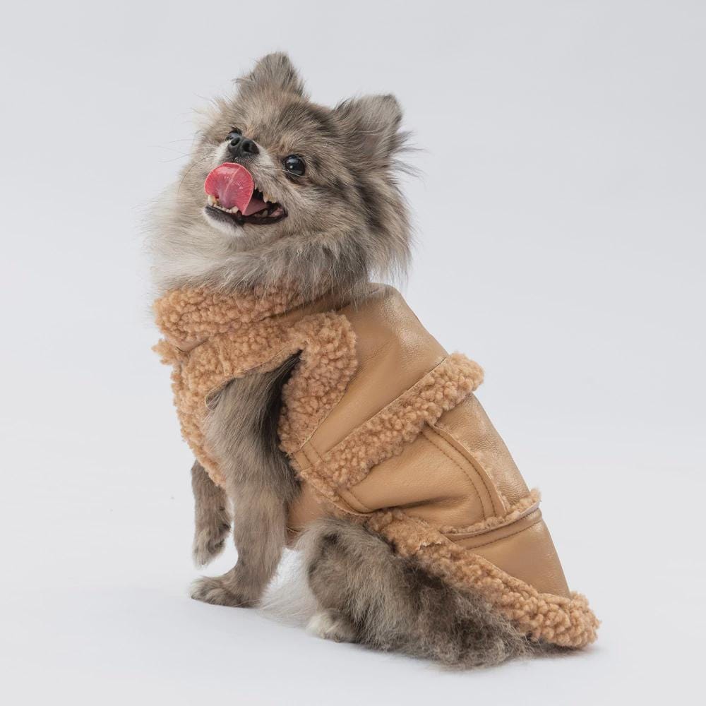 Beige Dog Vest: Stylish Small/Medium Puppy Jacket - Churchill Model