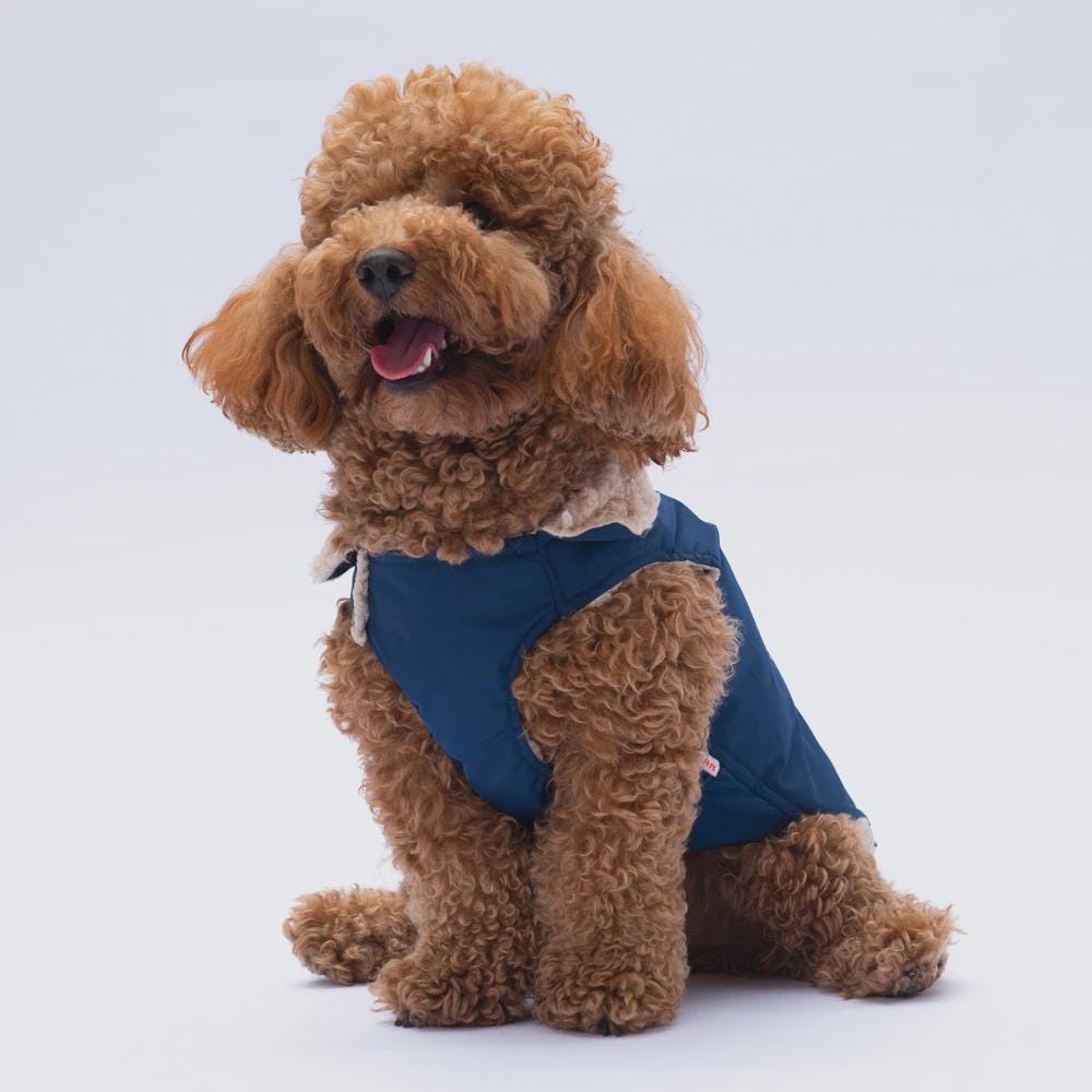 Yukon Navy Vest