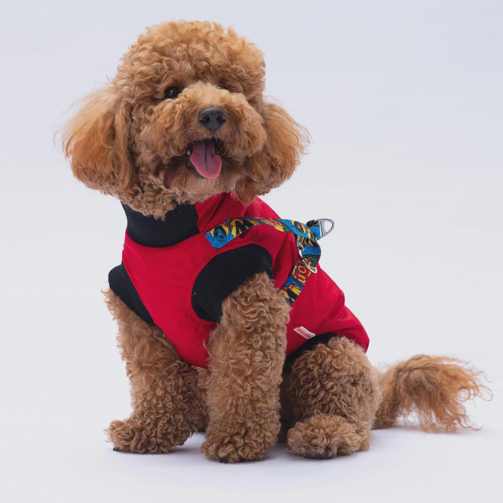Nuuk Model Red Dog Vest: Warm, Lightweight Winter Outfit